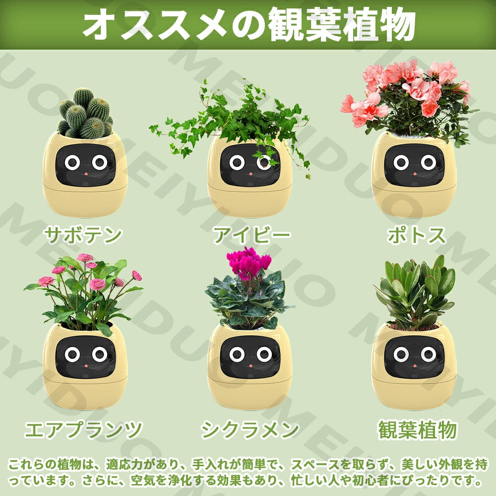 RakuPetPlant™ 楽ペトプラ™