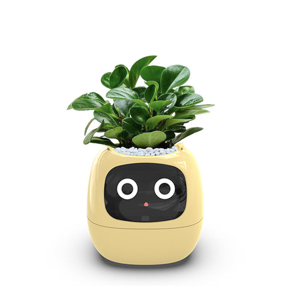 RakuPetPlant™ 楽ペトプラ™