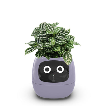 RakuPetPlant™ 楽ペトプラ™