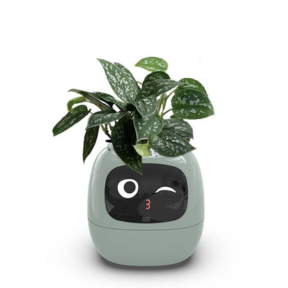 RakuPetPlant™ 楽ペトプラ™